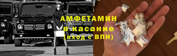 стафф Аркадак