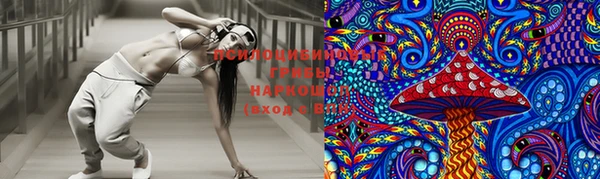 стафф Аркадак