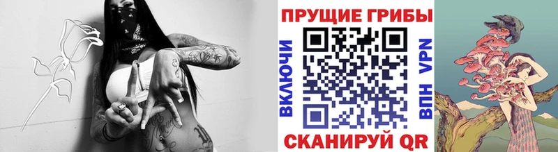 Псилоцибиновые грибы прущие грибы  Тобольск 